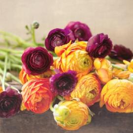 40张最新的鲜花摄影照片