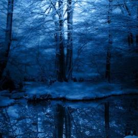 30张美丽的蓝色系摄影照片