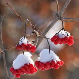 30张精美的自然景观摄影照片