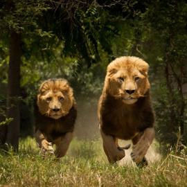 40张精美优秀的摄影照片欣赏