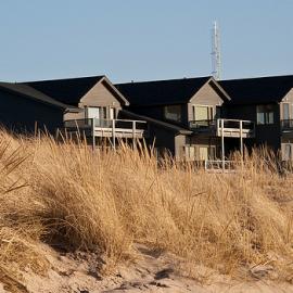 35张炎炎夏日的摄影照片