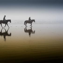 20张精美的倒影摄影照片