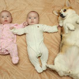 40 张趣味生动的照片希望你喜欢