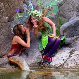 35张漂亮的美人鱼摄影照片