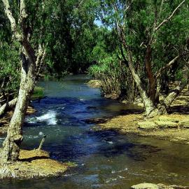 33张森林自然保护区的摄影照片