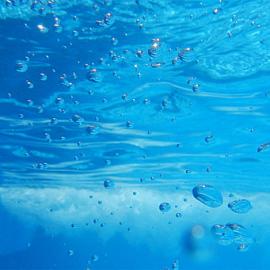 35张惊人的水下摄影照片