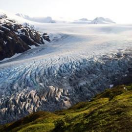 38张来自Navid Baraty的优秀摄影照片