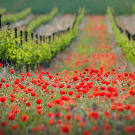 28张极美的风景摄影照片