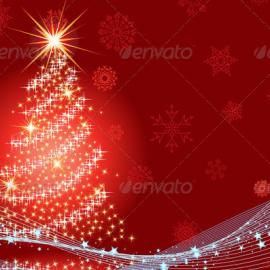 18张关于圣诞树的摄影照片