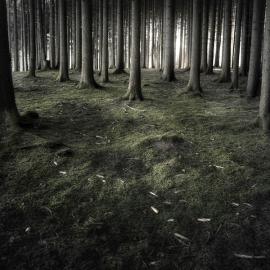 111张来自Jürgen Heckel的摄影照片欣赏