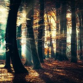 54张优秀的风景摄影照片欣赏