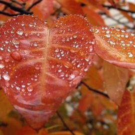 25张优秀美丽的摄影照片欣赏