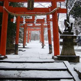 18张寒冷的冬季摄影照片欣赏