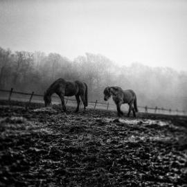 21张来自Michael Marsh的摄影作品欣赏