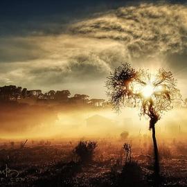 40张来自Miguel Santos的摄影作品欣赏