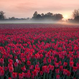 80张来自Maciej Duczynski的摄影照片欣赏