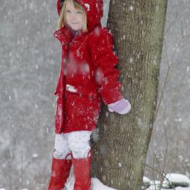 22张优美的雪景摄影照片