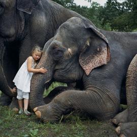27张人与动物的和谐摄影照片
