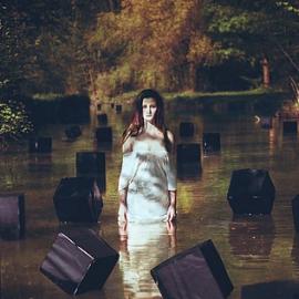 32张来自Bassam Allam的摄影照片欣赏