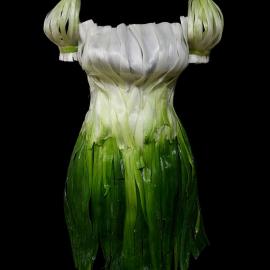 创意的可以穿的食物衣服