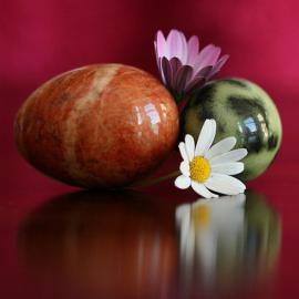 44张优秀的静物摄影照片欣赏