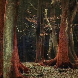 37张优秀的风景摄影照片