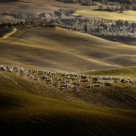 24张意大利托斯卡纳的摄影照片