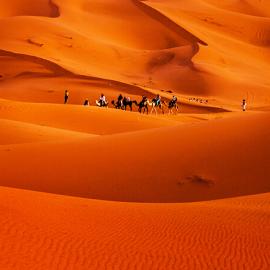 摩洛哥撒哈拉沙漠骆驼红色沙漠柏柏尔人