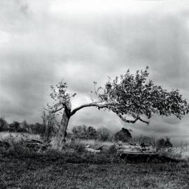 捕捉 山水画的情愫