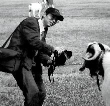 票友老谢的街头幽默