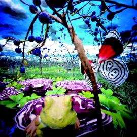 用针孔呈现奇幻王国——贝丝妮“漫游仙境”