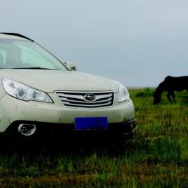 夏日里的草原狂欢