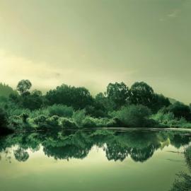 每月观片 2010年8月