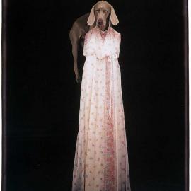 “与狗相伴的人”——William Wegman