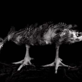 心灵的秘密方程式——日本女摄影家今道子的世界