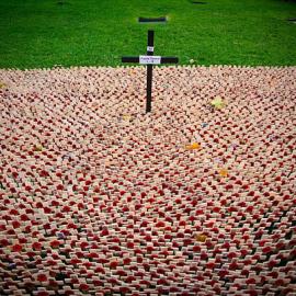 《Digital Camera》英国灵感组入围作品赏析