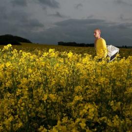 David Maixner——关系