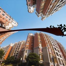 坦洲摄影作品展