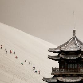 2010  来自中国