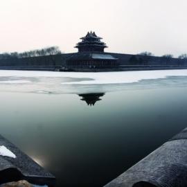 每月观片 2010年02