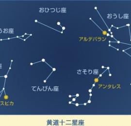 婚礼季十二星座甜蜜启程