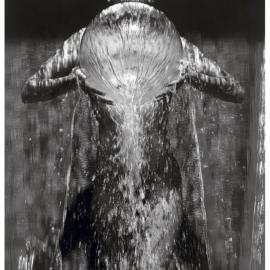The photographer Herb Ritts