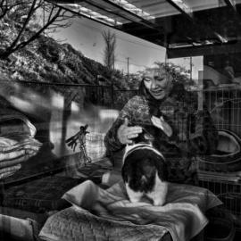 1_2015110522415716zbyy