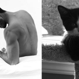 猛男与猫