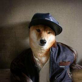作为一名土豪