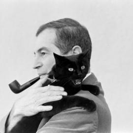 黑猫试镜会