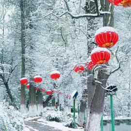 好一派冰雪洁净 