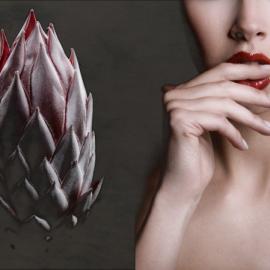 Carsten Witte人体摄影——植物·女人