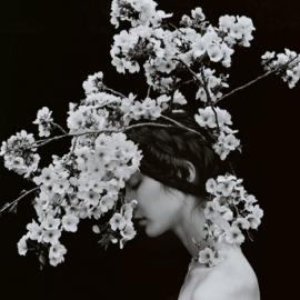 Sayaka Maruyama——《樱花》
