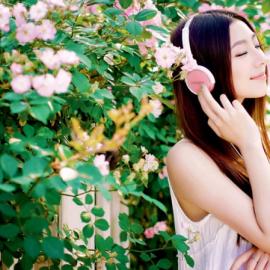 午后花墙少女